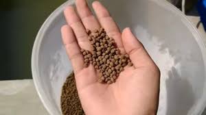 How-to-Make-Fish-Feed.jpg