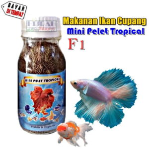 Pakan Ikan Cupang